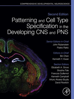 cover image of Patterning and Cell Type Specification in the Developing CNS and PNS